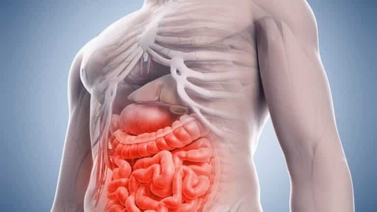 Язвенный колит: симптомы и лечение няк у взрослых, неспецифический ...